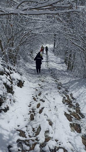 SNEG U KOMŠILUKU, A NAMA... Pred nama je vremenski sunovrat "Ovo nikom ne donosi dobro" (FOTO)