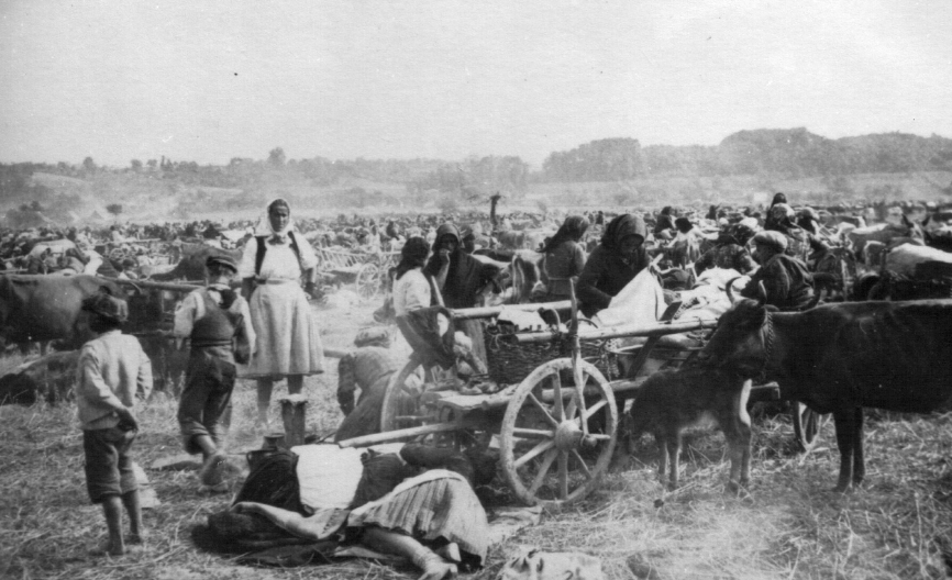 UŽAS! Studenti iz Srbije, Srpske i Crne Gore kreću na Medicinijadu i žurku na Pag, gde su Hrvati ubili na hiljade Srba?!