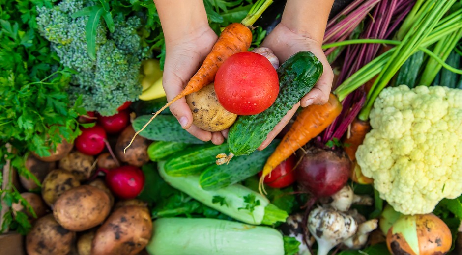 OVO ZNAJU SAMO STARI BAŠTOVANI Zalivajte paradajz i krastavac ovim rastvorom, rađaće kao ludi