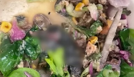 HOROR U RESTORANU Stavila zalogaj salate u usta, kada je videla oči i rep u tanjiru, zaledila joj se krv u žilama! (VIDEO)