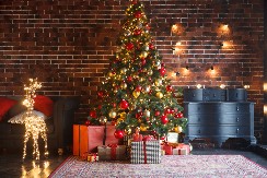 DUŠU ĆE VAM RAZGALITI Mališan je prvi put video uključene lampice na jelki, njegova reakcija je sve raznežila