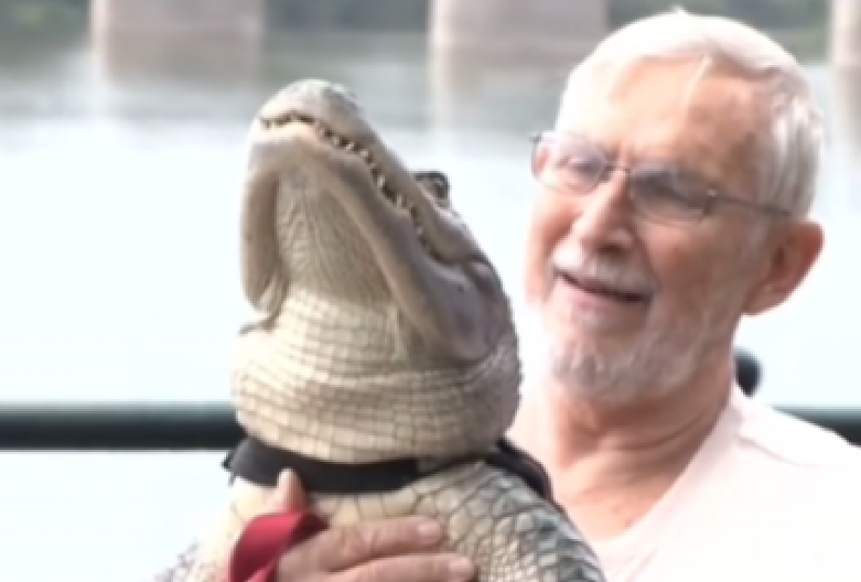 ZA KUĆNOG LJUBIMCA IMA KRVOLOČNOG PREDATORA Žena mislila da je spasila guštera, a zapravo je gajila.. (VIDEO)