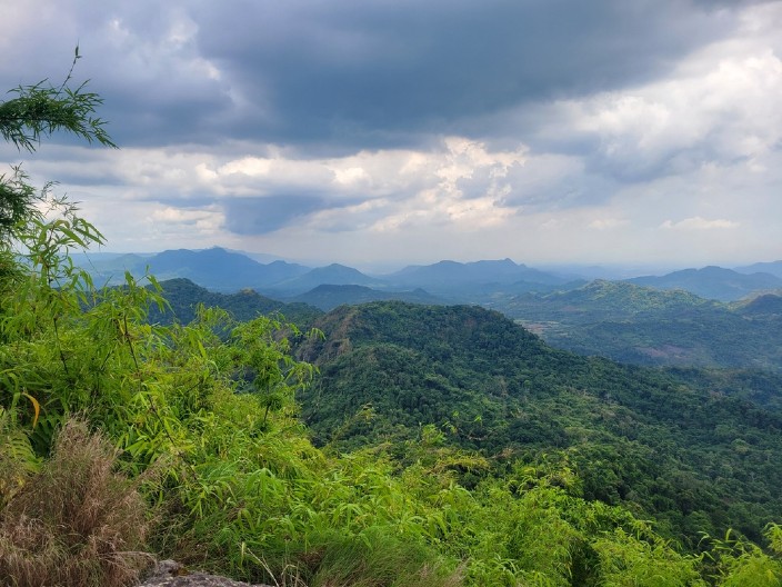 EVROPLJANI PAPRENO NAPLAĆUJU BORAVAK U PRIRODI Vikend u divljini košta 530 evra