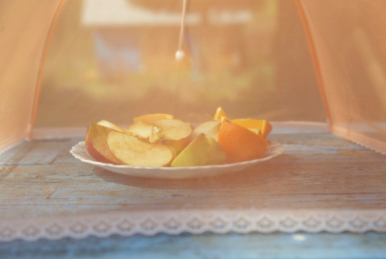 MUVE OD NJE BEŽE KAO LUDE! Samo stavite ovu namirnicu na prozor i nećete ih videti, NIJE HEMIJA, A MIRIŠE