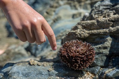 KAZNA I DO 3.000 EVRA Stvar koju redovno radimo na moru, a Grčka to papreno kažnjava