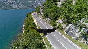 PREČICOM DO PRIMORJA Nikad brže do Crne Gore