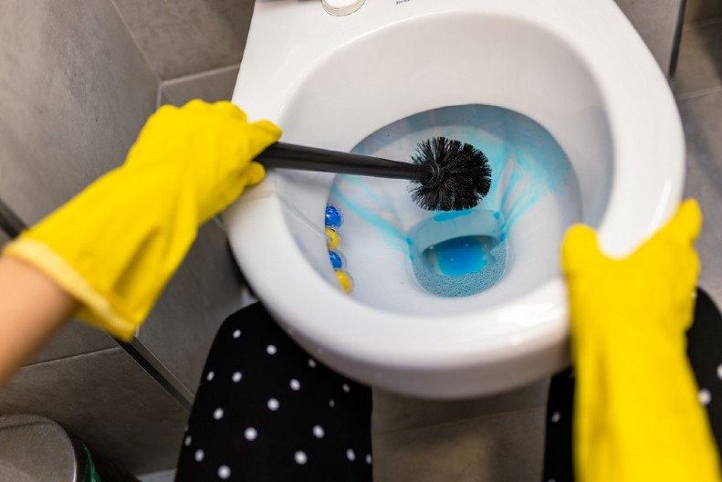 OČISTITE ČETKU ZA WC ŠOLJU BEZ PIPANJA Evo kako da napravite rastvor za dubinsku dezinfekciju