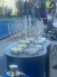 GRACIJA I ANA ŠAMPIONKE Sjajno žensko finale u padelu u Beogradu