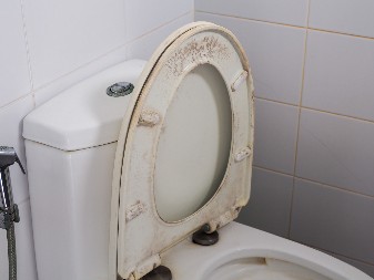 ČISTI DASKU OD WC ŠOLJE BOLJE OD VARIKINE? Evo kako da od požutele dođete do sneg bele, bolje i od najjače hemikalije