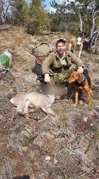 HAPŠENJE KRIVOLOVACA U KRALJEVU Dvojica mladića lovcima bušili gume da bi sami ubijali srne po šumama! (FOTO)