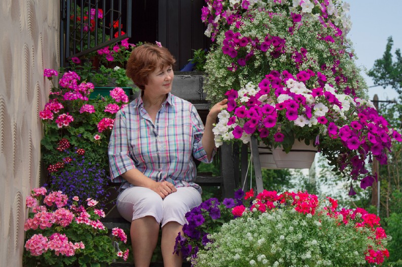 CVEĆE KOJE VOLI SUNCE Uz ova raskošna 3 lepotana, terasu ćete pretvoriti u pravi raj