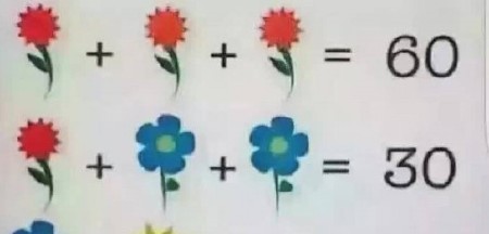 MOŽETE LI VI DA REŠITE OVO? Mozgalica sa cvećem zaludela internet – čak ni profesori nisu sigurni u tačan odgovor! (FOTO)