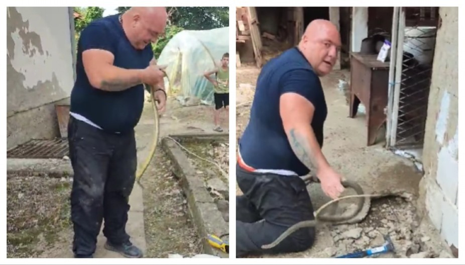 ’OĆE DA APE!" Cela Srbija zgranuto gleda šta radi Vladica sa zmijama u Leskovcu!