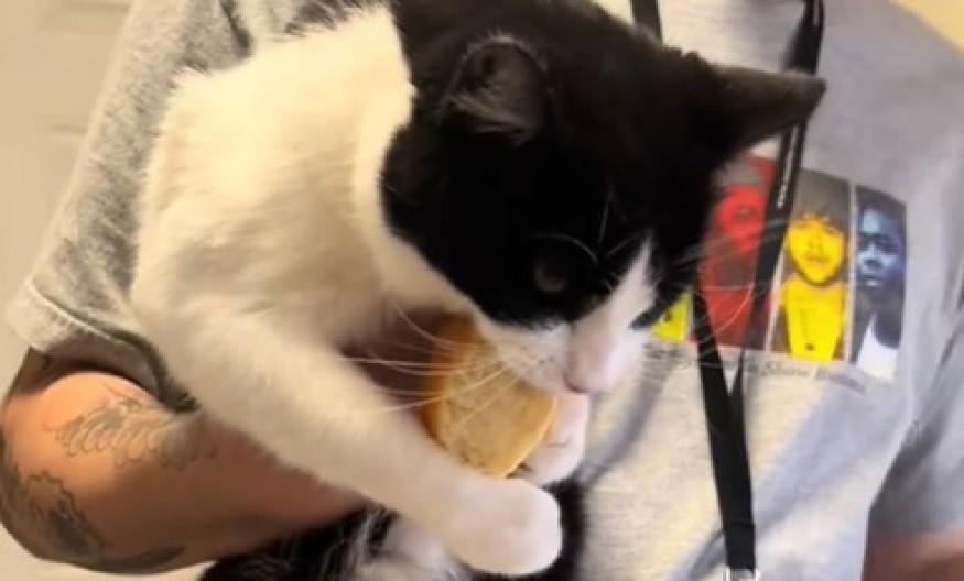 OVAKVOG LOPOVA JOŠ NISTE VIDELI Dohvatio hleb i ne pušta - ljudi gledaju i plaču od smeha