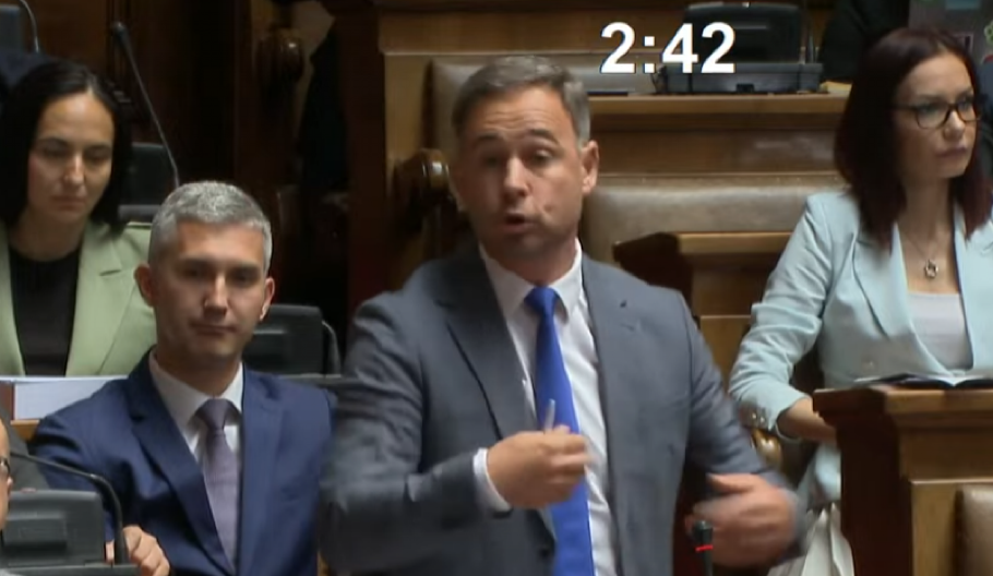 ALEKSIĆ DOTAKAO SAMO DNO Napao Sinišu Malog i njegovu decu