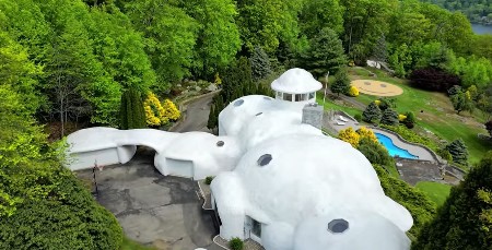 KOŠTA 1,1 MILION, A IZGLEDA KAO PEČURKA Na prodaju kuća iz bajke usred šume