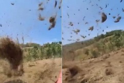 "VILINO KOLO" KOD KRALJEVA, LJUDI NE VERUJU ŠTA VIDE! Ni dašak vetra, a sve krenulo da se diže u nebo! (VIDEO)