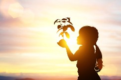 ZELENI HOROSKOP Svaki znak ima svoju biljku - otkrijte koja je vaša