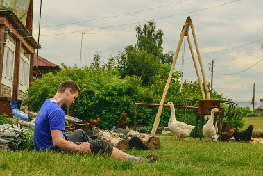 BUĐENJE SA PETLOVIMA UMESTO SKUPIH HOTELA Rusi vole neobična putovanja