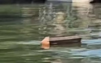 JEZIVA SCENA NA SAVI Mrtvački sanduk plutao kroz Beograd, šokirani građani ostali bez reči! (VIDEO)