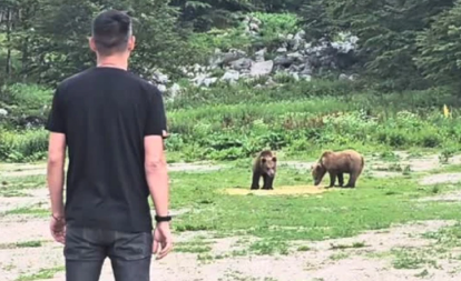 OČI U OČI SA DVA MEDVEDA! Naš poznati glumac na Šar-planini sa zverima – snimak naježio sve, pljušte komentari (VIDEO)
