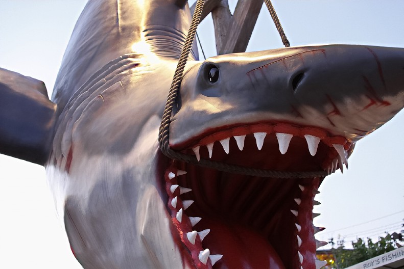 POLA VEKA OD PREMIJERE FILMA KOJI I DANAS LEDI KRV U ŽILAMA "Ajkula" Stivena Spilberga ima najstrašnije scene u istoriji filma i prvi je blokbaster u istoriji