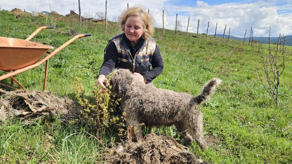 RUSKINJA IRINA GRADSKU VREVU ZAMENILA SELOM U SRBIJI Uživa u svom raju dok gaji koze: One mi dosta pomažu (FOTO)