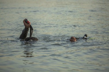 HOROR U BAČKOJ PALANCI! Telo muškarca pronađeno u jezeru Tikvara