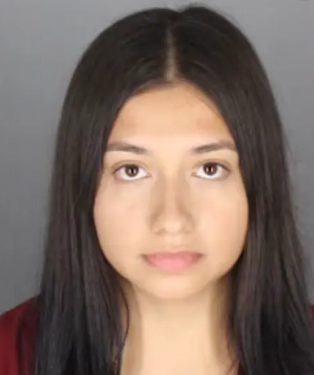 NASTAVNICA OPTUŽENA DA JE IMALA ODNOSE SA UČENIKOM (16) Preti joj duga robija, evo kako se za sve saznalo