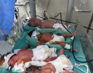 PET BEBA U JEDNOM INKUBATORU! Ovaj snimak prikazuje sav užas rata!