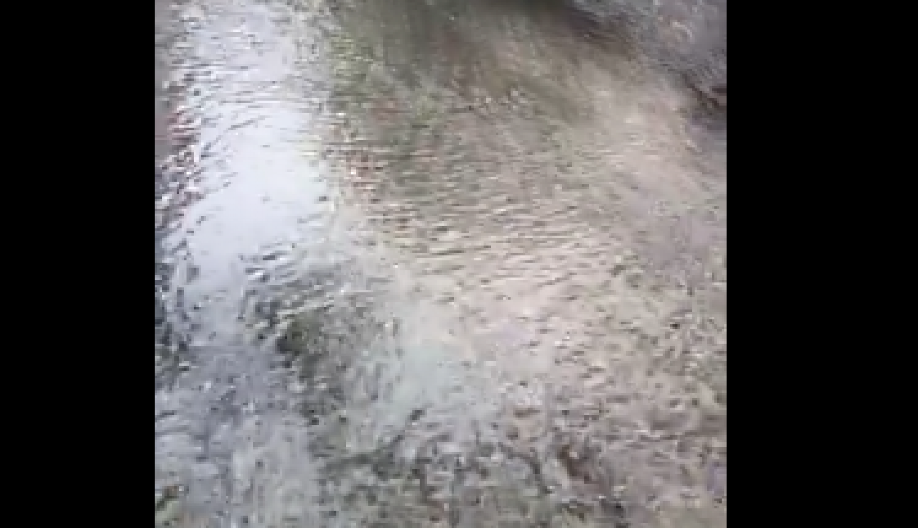 NEMILA SCENA U PRESTONICI, HRVATI JUTROS ZAKUKALI "Još uvek ne znamo šta je izazvalo ove apokaliptične scene"