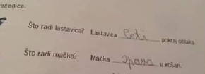 MALIŠAN POSTAO HIT NA INTERNETU Njegov odgovor iz domaćeg zadatka NASMEJAO CELU SRBIJU! (FOTO)