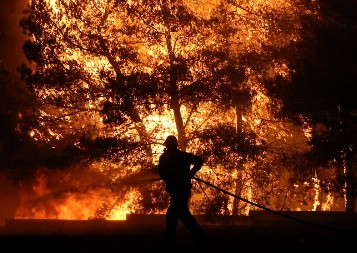 RUSIJA SE BORI SA ŠUMSKIM POŽARIMA: 25 ugašenih, 53 još aktivna na više hiljada hektara
