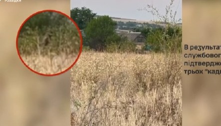 KADIROVCI UPALI U ZAMKU, ŽESTOKI OKRŠAJ NA FRONTU Putinovi ljudi u haosu, snimci kruže mrežama (VIDEO)