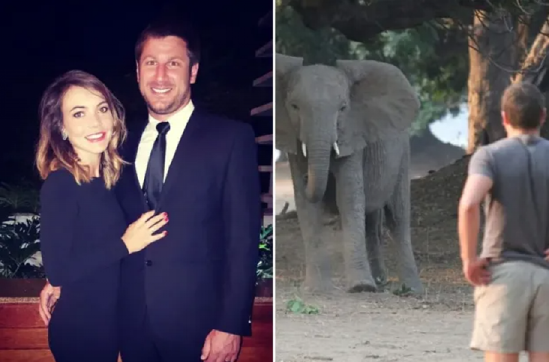 SLON OD ŠEST TONA IZGAZIO MILIONERA DO SMRTI! Užas u rezervatu u Južnoj Africi (FOTO)