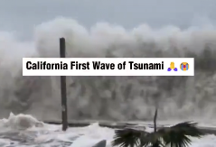 APOKALIPTIČNI PRIZORI U KALIFORNIJI Valjaju se veliki talasi dok zavija sirena, čak i ptice beže od prirodne katastrofe! (VIDEO)