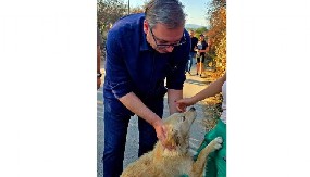 VUČIĆ ODUŠEVIO FOTOGRAFIJOM IZ ŽITORAĐE: "Diplomatija na četiri šape“ u akciji! (FOTO)