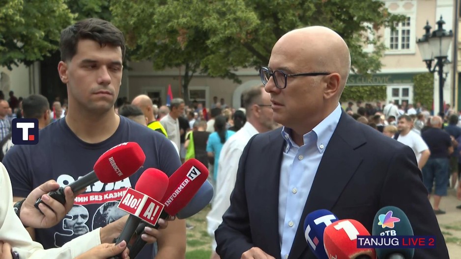 "NEVEROVATNO JE ŠTA TA ŽENA IZGOVARA" Vučević prokomentarisao sramne izjave Marinike Tepić