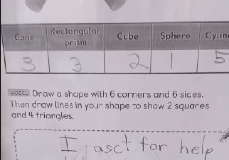 CELA SRBIJA PRIČA O DEVOJČICI IZ ZADATKA Mama nije znala rešenje, a njen odgovor NASMEJAO MILIONE!