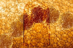 ZANIMLJIVA LIKOVNA IZLOŽBA OTVARA SE U UMETNIČKOM PROSTORU U 10 Nadahnuta je impresivnim oblicima iz prirode