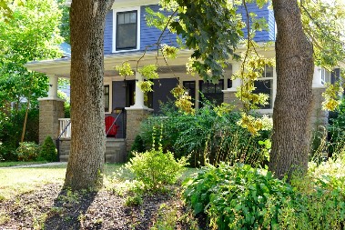 ISPOD OVOG DRVETA NIKADA NEMOJTE SEDETI Mnogi ga imaju u dvorištu, a ni ne slute da je otrovno