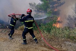 ZAPALIO SE AUTOMOBIL NASRED ULICE! Vatrena stihija PROGUTALA VOZILO!(VIDEO)