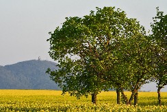 Izletište sa dušom: Devojački bunar i neobična crkva od drveta