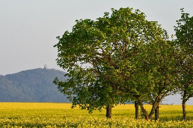 Izletište sa dušom: Devojački bunar i neobična crkva od drveta