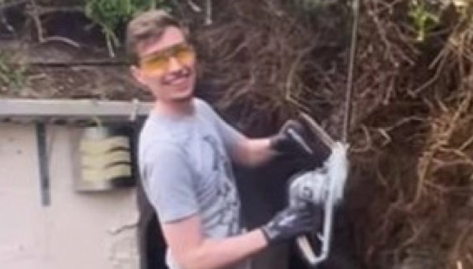 NEVEROVATNO OTKRIĆE U DVORIŠTU Motornom testerom uklonili žbunje, kad su videli šta je ispod, sledila im se krv u žilama! (VIDEO)