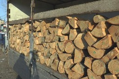 NIŽE CENE OGREVNOG DRVETA, ZA OVE GRAĐANE - BESPLATNO! Država je rešila da stane na put visokim cenama