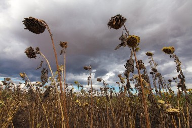 EVO KADA NAS NAPUŠTA LETO Meteorolog otkrio, uragan sa Atlantika nam kupio još par nedelja, ali uskoro stiže hladno vreme!