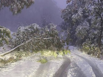 VANREDNA SITUACIJA U TRI OPŠTINE: Srbija paralisana pod snegom od 70 cm