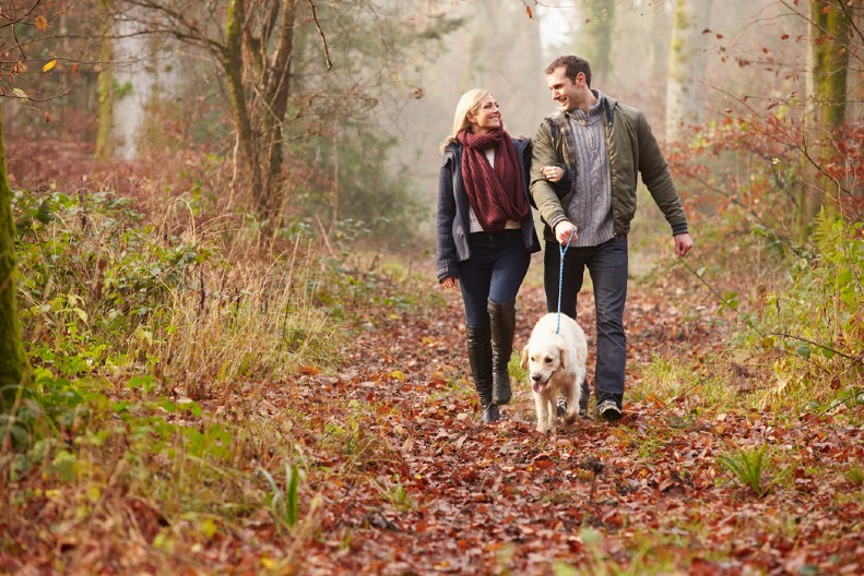 BRUKA I SRAMOTA NA TROTOARU Bahata vlasnica psa svojim potezom razbesnela komšije – usledilo brutalno poniženje!