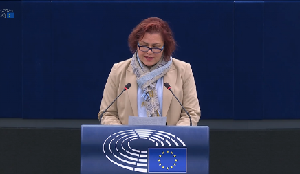 "TO JE LAŽNA, PRIVIDNA POLITIKA" Viček usred Evropskog parlamenta oštro: Evropska unija nema pravo da se meša u unutrašnje poslove Srbije